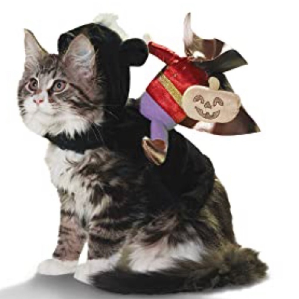 NWT Headless Horseman Cat Halloween Costume S/M